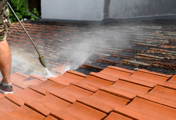 Best House Pressure Washing  in Colorado City, AZ