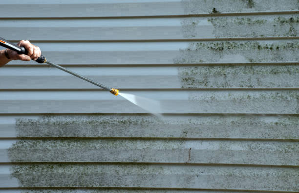 Best Garage Pressure Washing  in Colorado City, AZ
