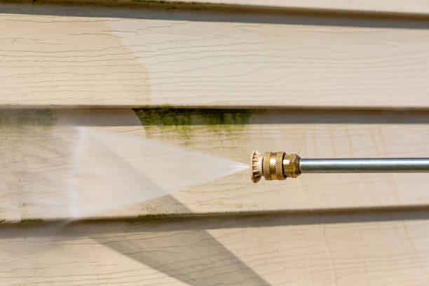 Best Deck Cleaning Services  in Colorado City, AZ