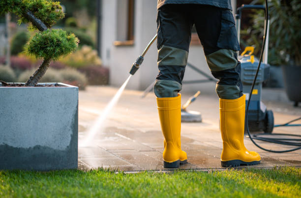 Best Deck Pressure Washing  in Colorado City, AZ